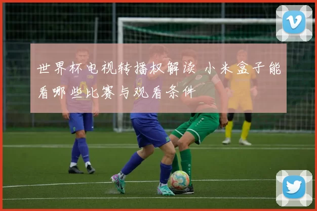 世界杯电视转播权解读 小米盒子能看哪些比赛与观看条件
