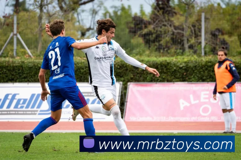 亚搏app登陆·(中国)官方网站发展历程